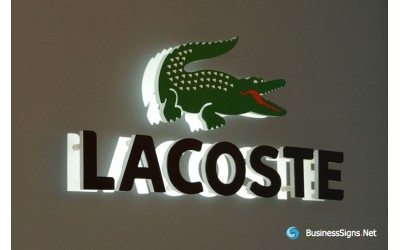 Tại sao giày Lacoste lại được ưa chuộng trong giới thượng lưu?