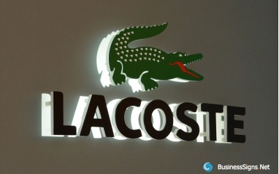 Tại sao giày Lacoste lại được ưa chuộng trong giới thượng lưu?