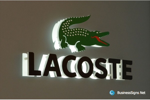 Tại sao giày Lacoste lại được ưa chuộng trong giới thượng lưu?