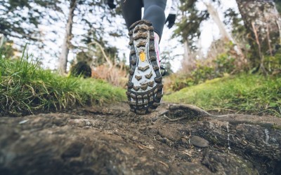 Bộ Sưu Tập Giày Trail Nam Nữ 2024 Của Myshoes