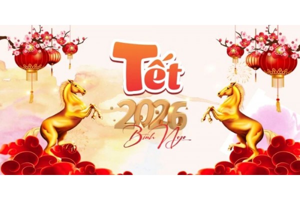Gợi Ý Top 5 Các Mẫu Giày Chơi Tết 2026