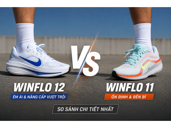 Winflo 12 Có Đáng Tiền Hơn Winflo 11? So Sánh Chi Tiết Nhất