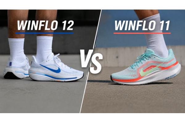 Winflo 12 Có Đáng Tiền Hơn Winflo 11? So Sánh Chi Tiết Nhất