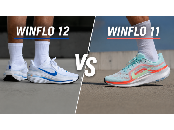 Winflo 12 Có Đáng Tiền Hơn Winflo 11? So Sánh Chi Tiết Nhất