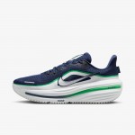 Giày Nike Winflo 12 Nam - Xanh Trắng