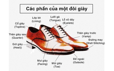 Các loại mũi giày phổ biến có thể bạn chưa biết