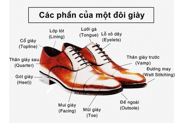 Các loại mũi giày phổ biến có thể bạn chưa biết