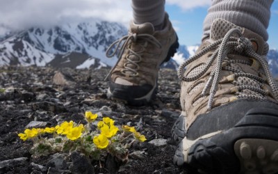 Kinh nghiệm chọn giày leo núi an toàn nhất ai cũng nên biết