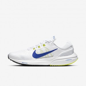 Giày Nike Vomero 15 Nam Trắng