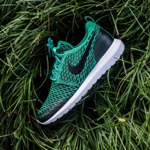 Giày Nam Nike Roshe Flyknit