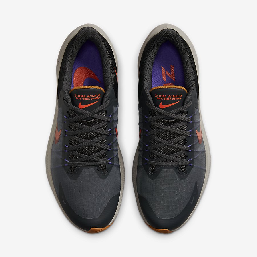 Giày Nike Winflo 8 Nam