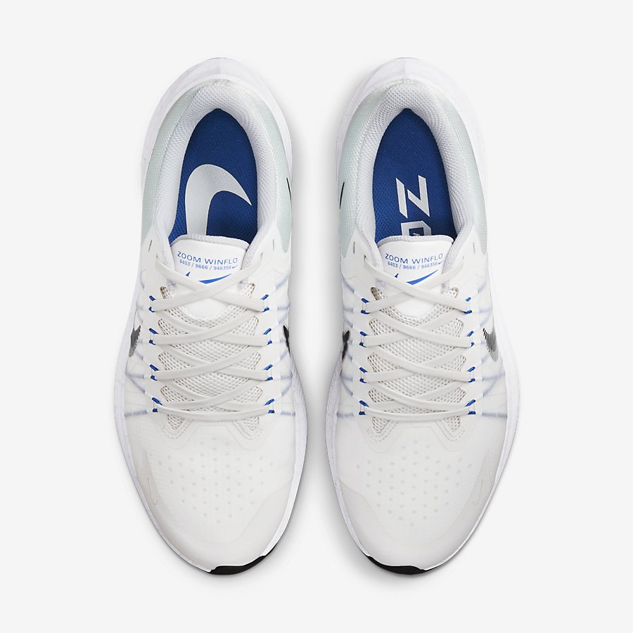 Giày Nike Winflo 8 Nam