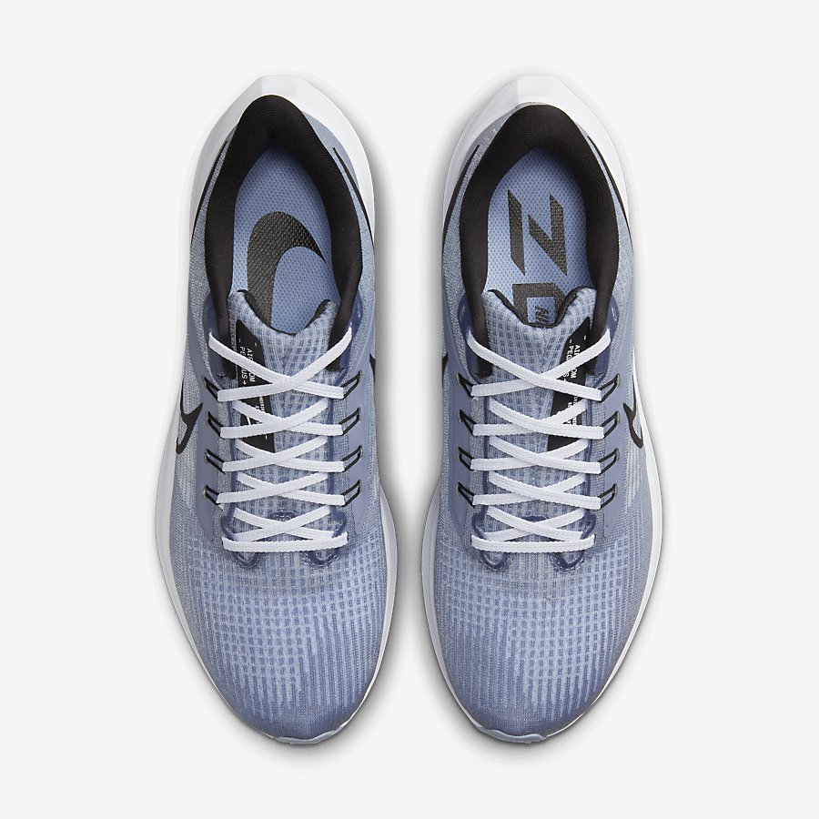Giày Nike Pegasus 39 Nam