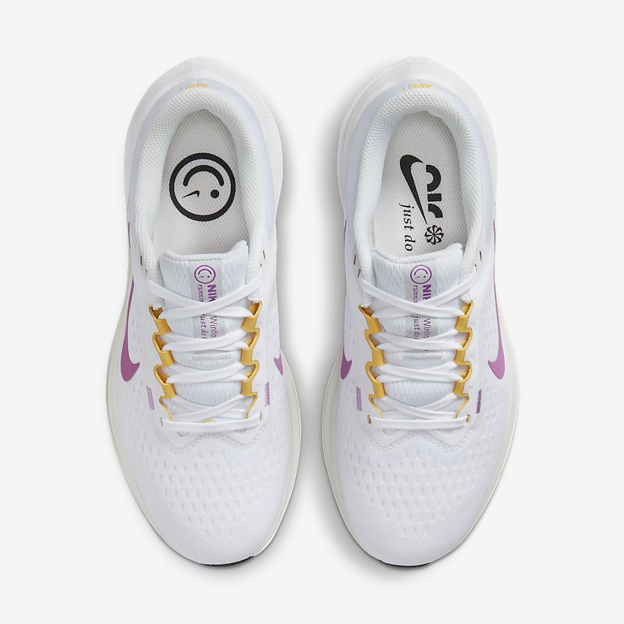 Giày Nike Air Winflo 10 Nữ