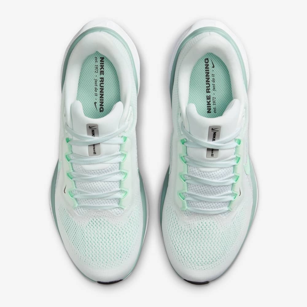 Nike Pegasus 41 nữ