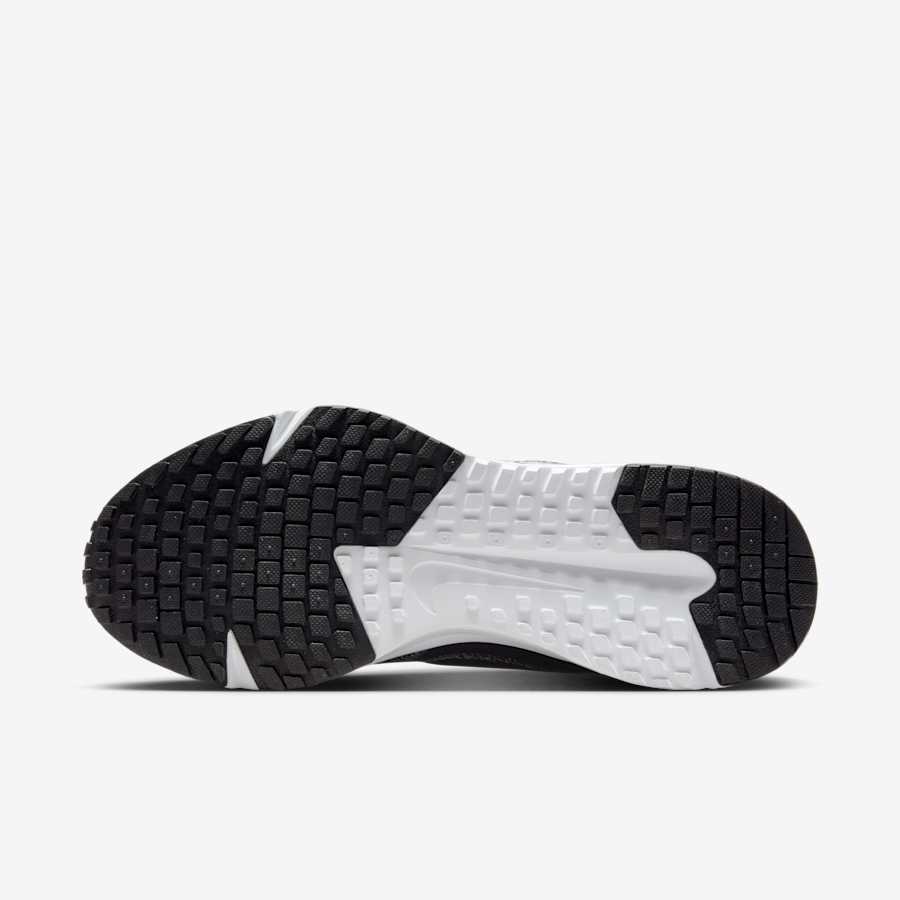 Nike Run Defy Nữ