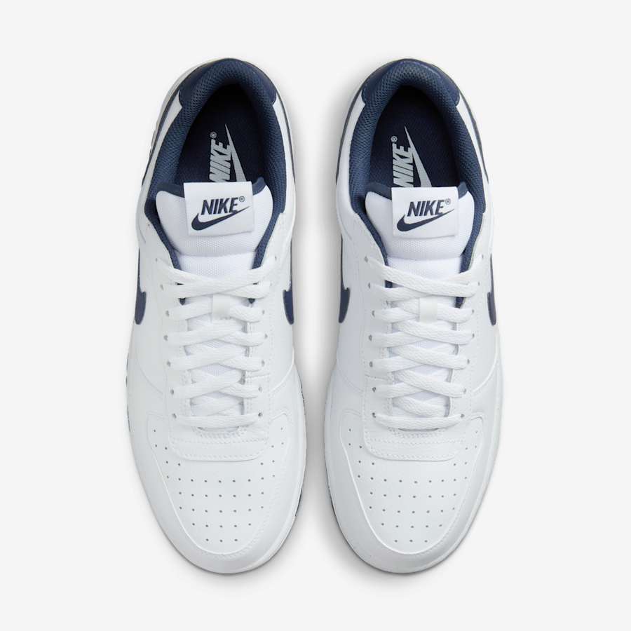 Nike Big Low Nam