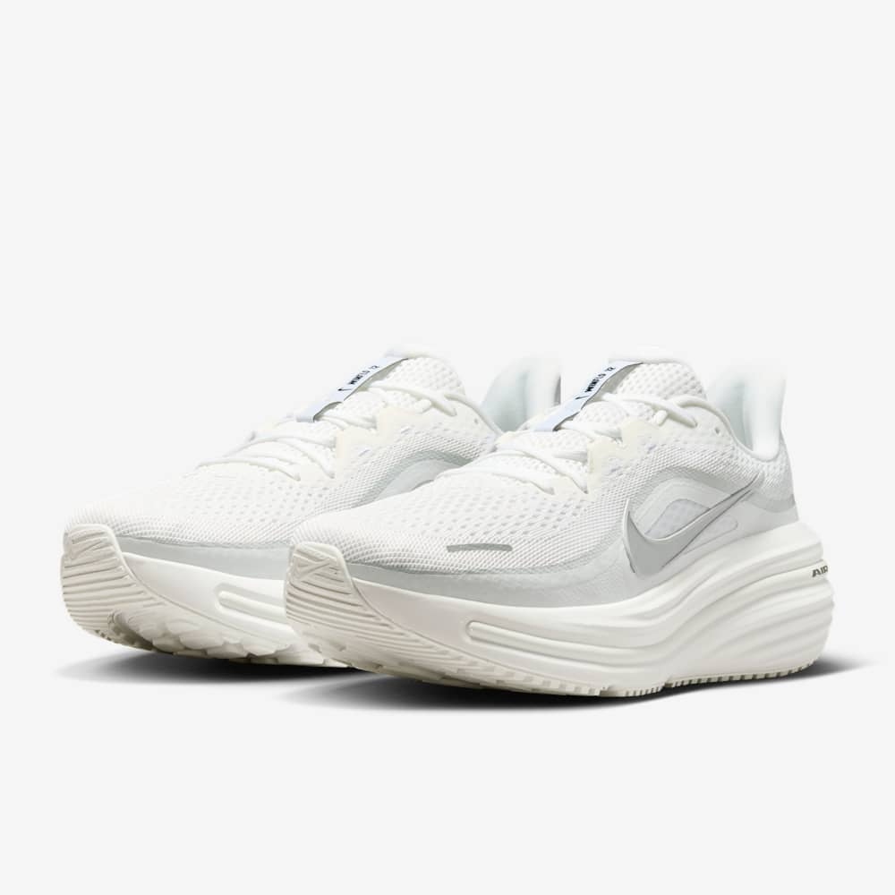Giày Nike Winflo 12