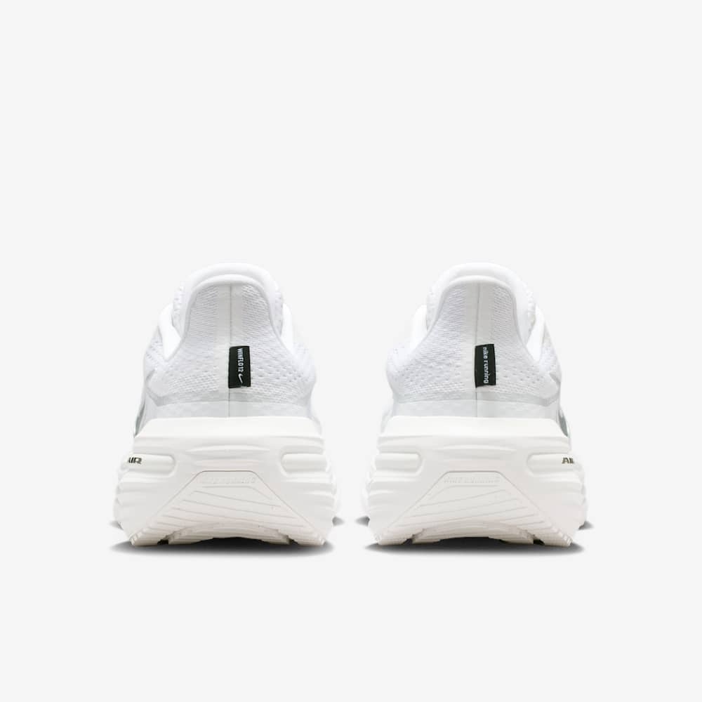 Giày Nike Winflo 12